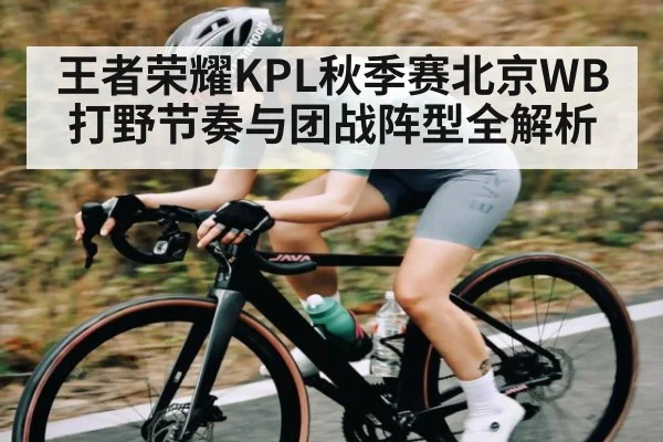 王者荣耀KPL秋季赛北京WB打野节奏与团战阵型全解析